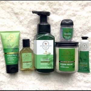 Bath and Body Works Works Eucalyptus Spearmint Aromatherapy